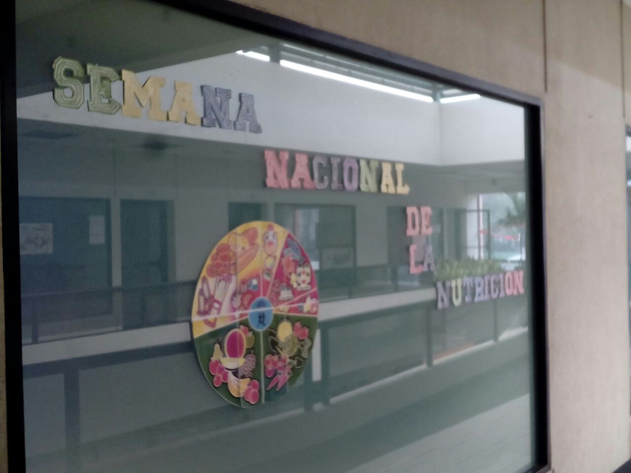 Foto de la galería