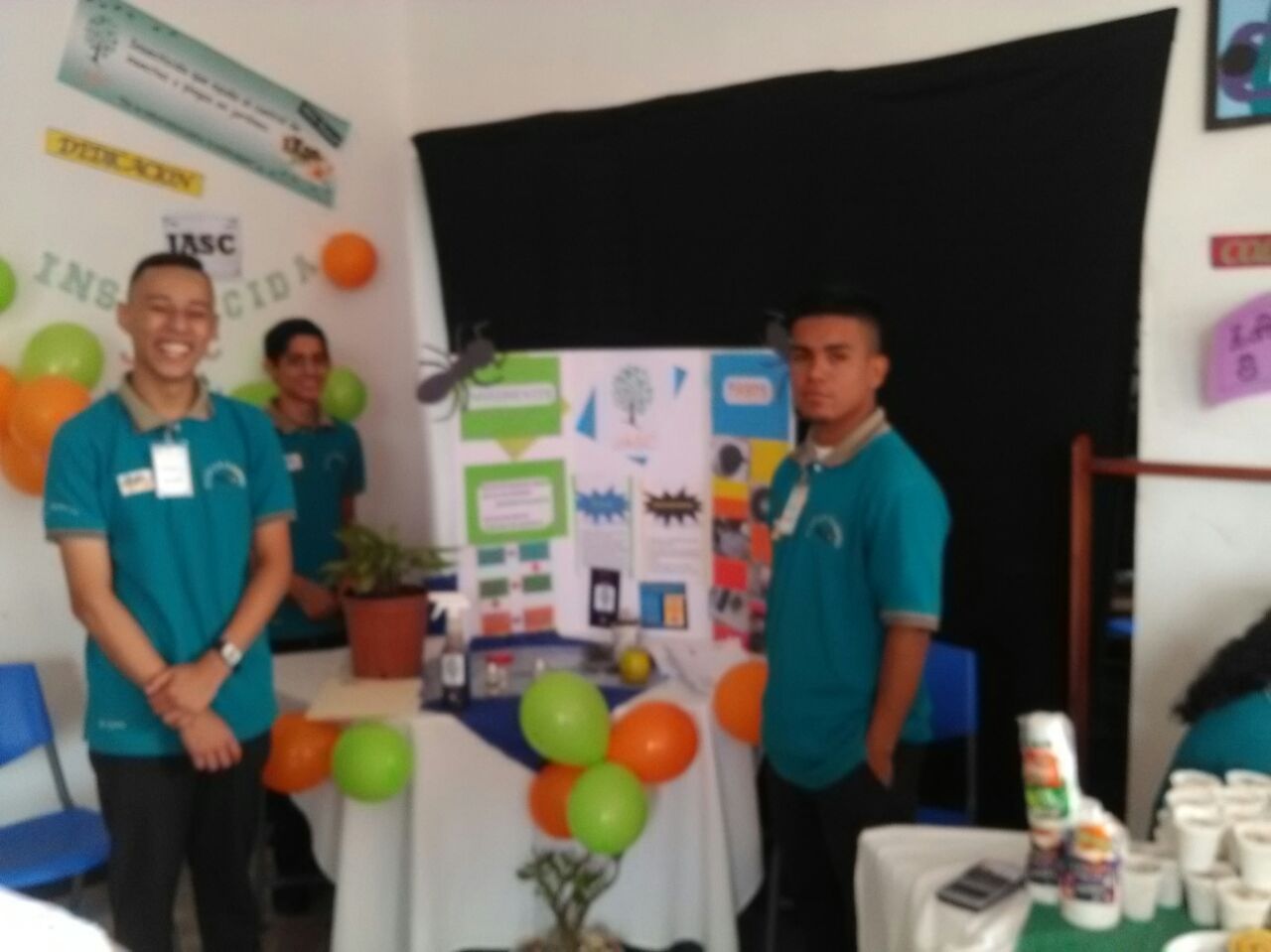 Foto de la galería