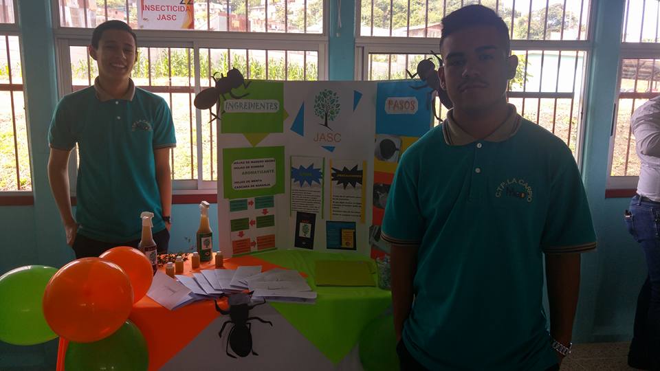 Foto de la galería