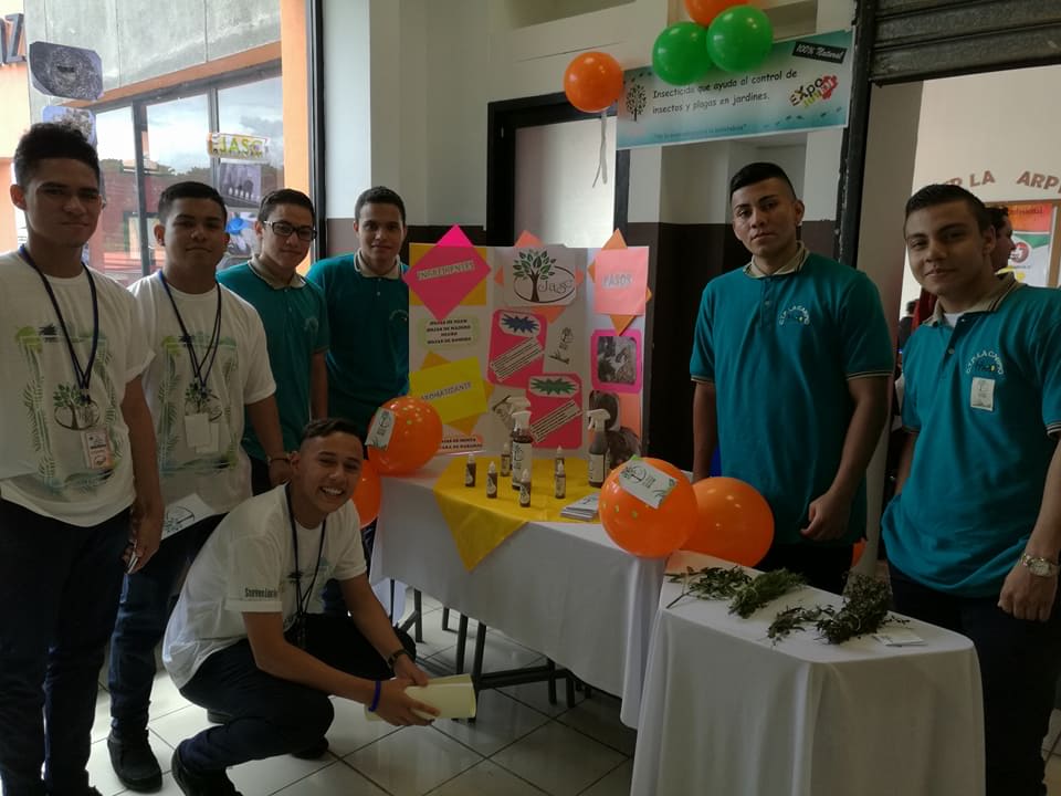 Foto de la galería