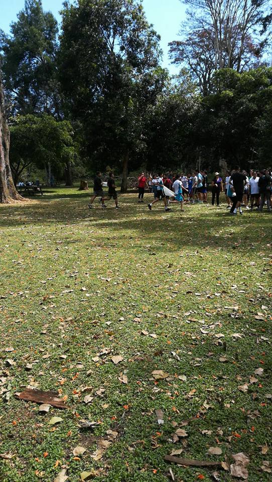 Foto de la galería