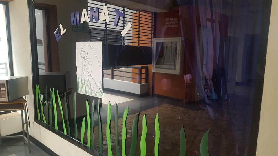 Foto de la galería