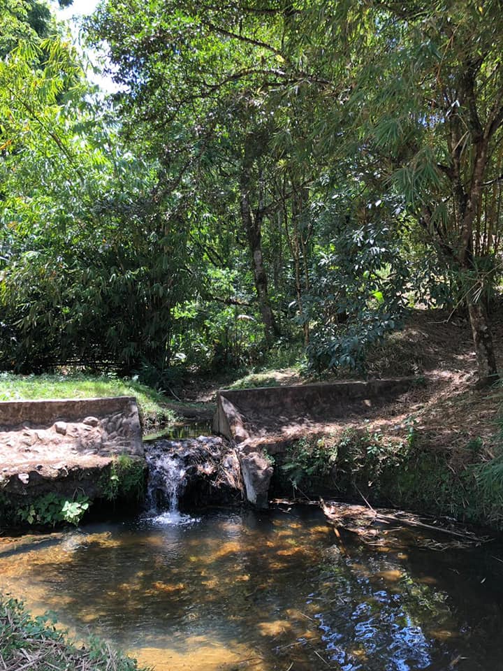 Foto de la galería