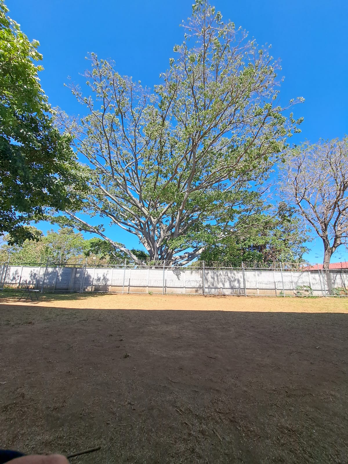 Foto de la galería