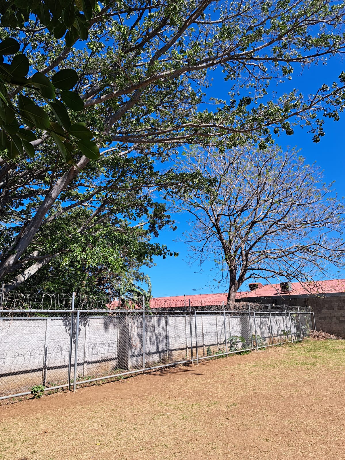 Foto de la galería